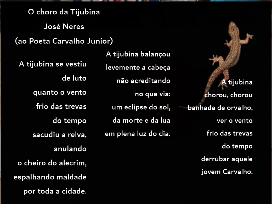 Lagrimas decaindo de um rosto cansado Sinto me perdido novamente Logo  (Valdir Carvalho)