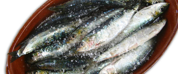 Confira uma receita fácil, saborosa e nutritiva com a sardinha (sxc.hu)
